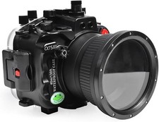 Sea frogs per Sony A7S III